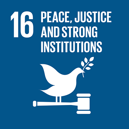 16. Promote just, peaceful and inclusive societies